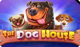Fountain Casino – The Dog House